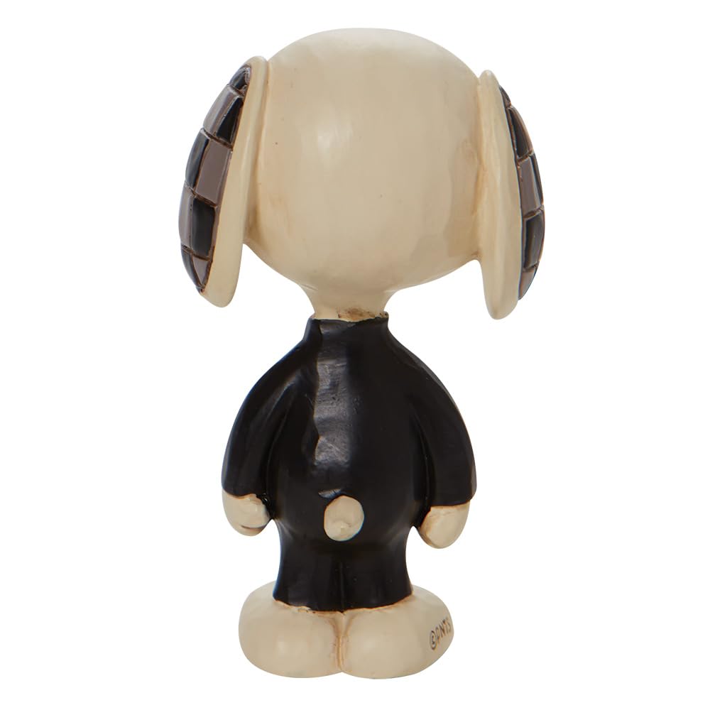 Amazon.com: Enesco Peanuts by Jim Shore Halloween Collection